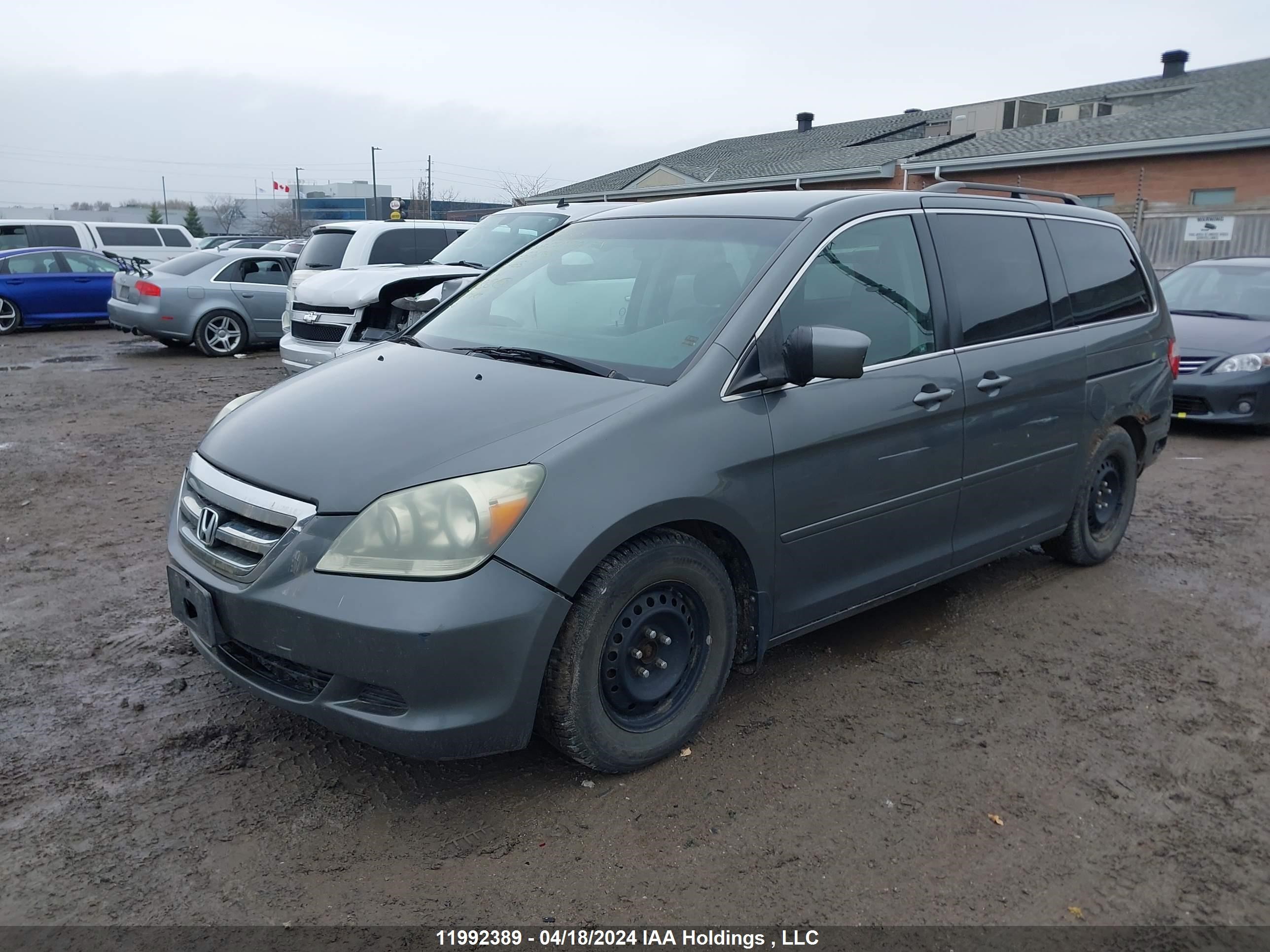 Photo 1 VIN: 5FNRL38407B506365 - HONDA ODYSSEY 