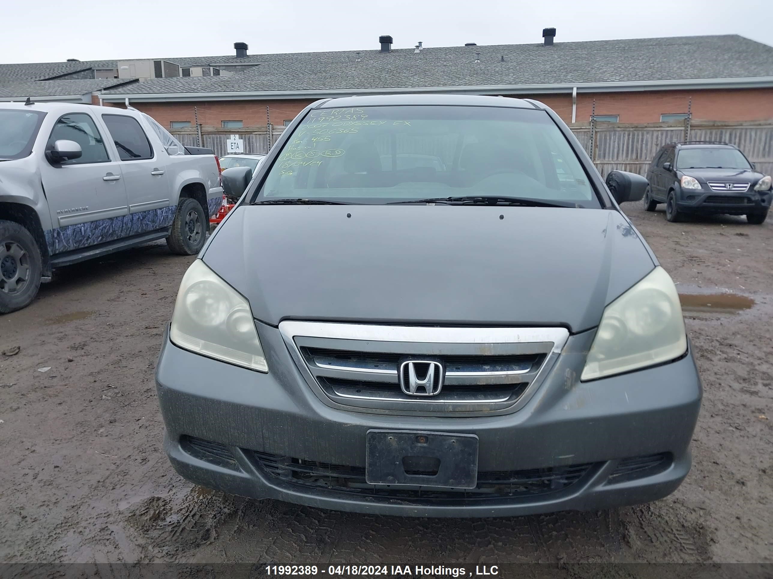 Photo 12 VIN: 5FNRL38407B506365 - HONDA ODYSSEY 