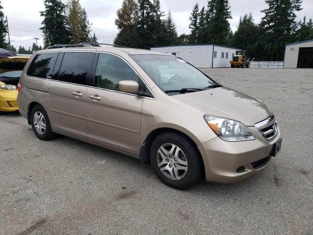 Photo 3 VIN: 5FNRL38417B024049 - HONDA ODYSSEY EX 