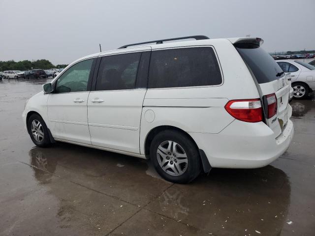 Photo 1 VIN: 5FNRL38417B409093 - HONDA ODYSSEY EX 