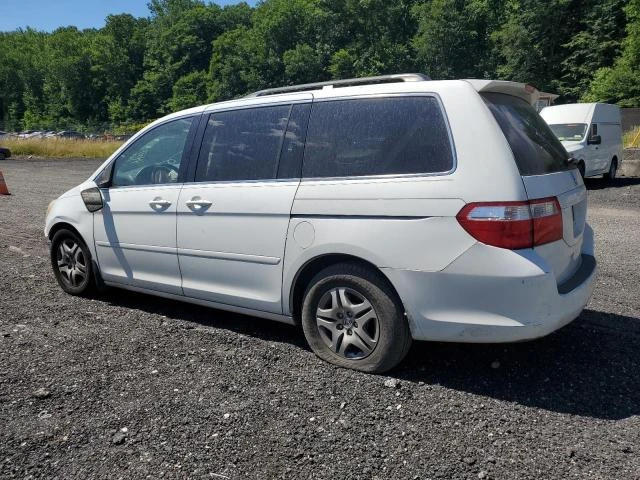 Photo 1 VIN: 5FNRL38425B024977 - HONDA ODYSSEY EX 