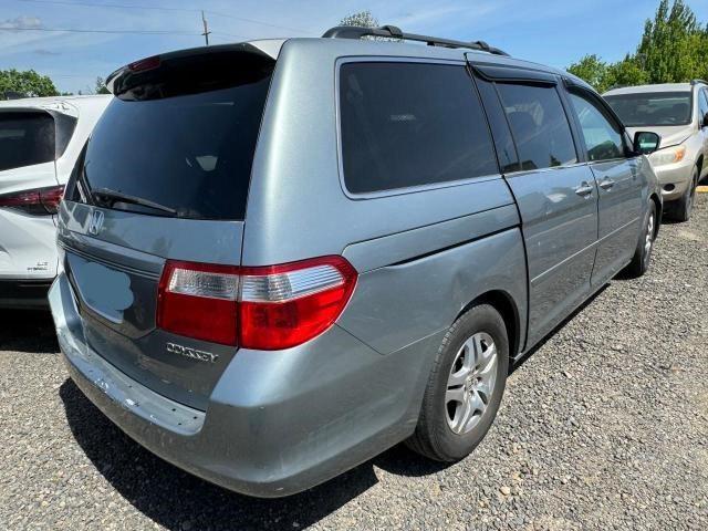 Photo 3 VIN: 5FNRL38425B085634 - HONDA ODYSSEY EX 