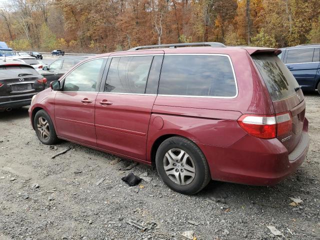 Photo 1 VIN: 5FNRL38426B126510 - HONDA ODYSSEY EX 