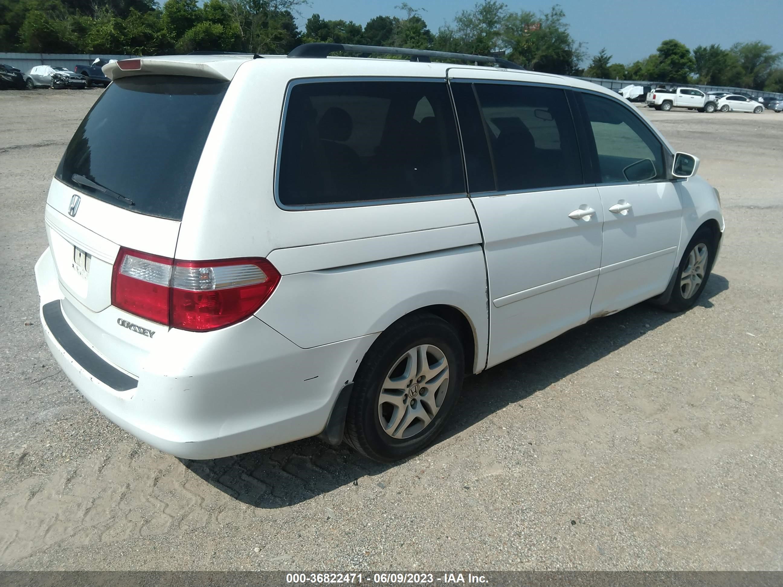 Photo 3 VIN: 5FNRL38435B021778 - HONDA ODYSSEY 