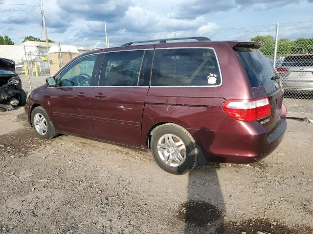 Photo 1 VIN: 5FNRL38437B134813 - HONDA ODYSSEY EX 