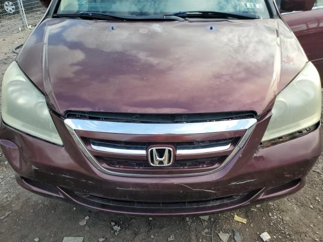 Photo 11 VIN: 5FNRL38437B134813 - HONDA ODYSSEY EX 