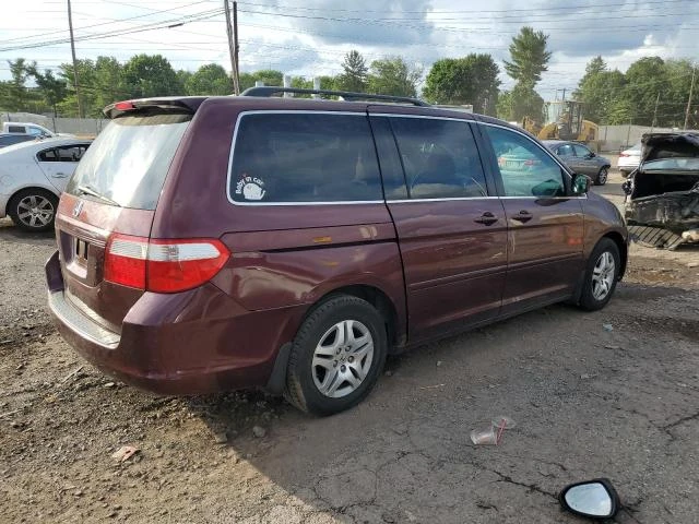 Photo 2 VIN: 5FNRL38437B134813 - HONDA ODYSSEY EX 