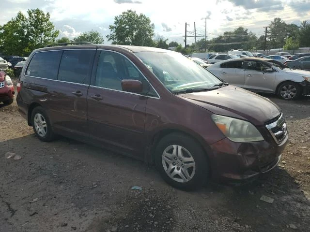 Photo 3 VIN: 5FNRL38437B134813 - HONDA ODYSSEY EX 