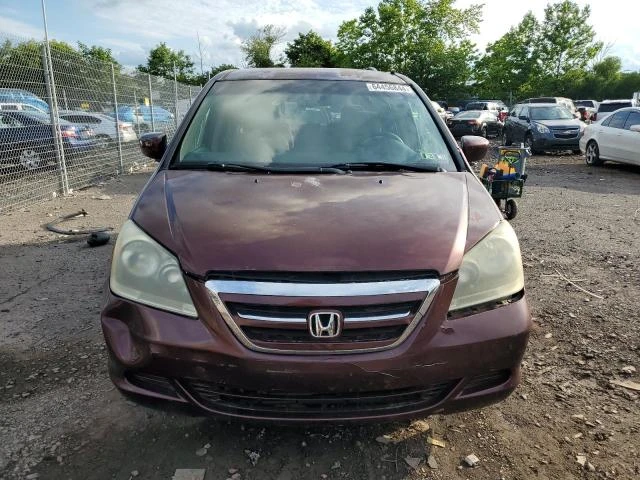 Photo 4 VIN: 5FNRL38437B134813 - HONDA ODYSSEY EX 