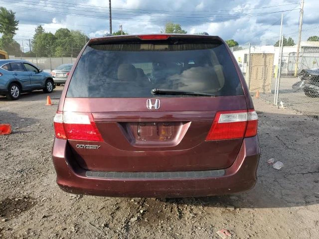 Photo 5 VIN: 5FNRL38437B134813 - HONDA ODYSSEY EX 