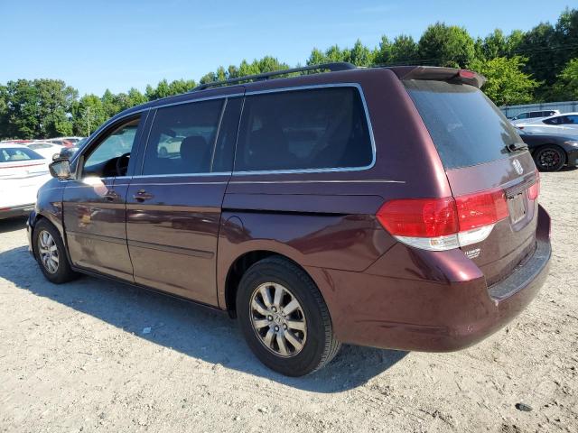 Photo 1 VIN: 5FNRL38438B027293 - HONDA ODYSSEY EX 