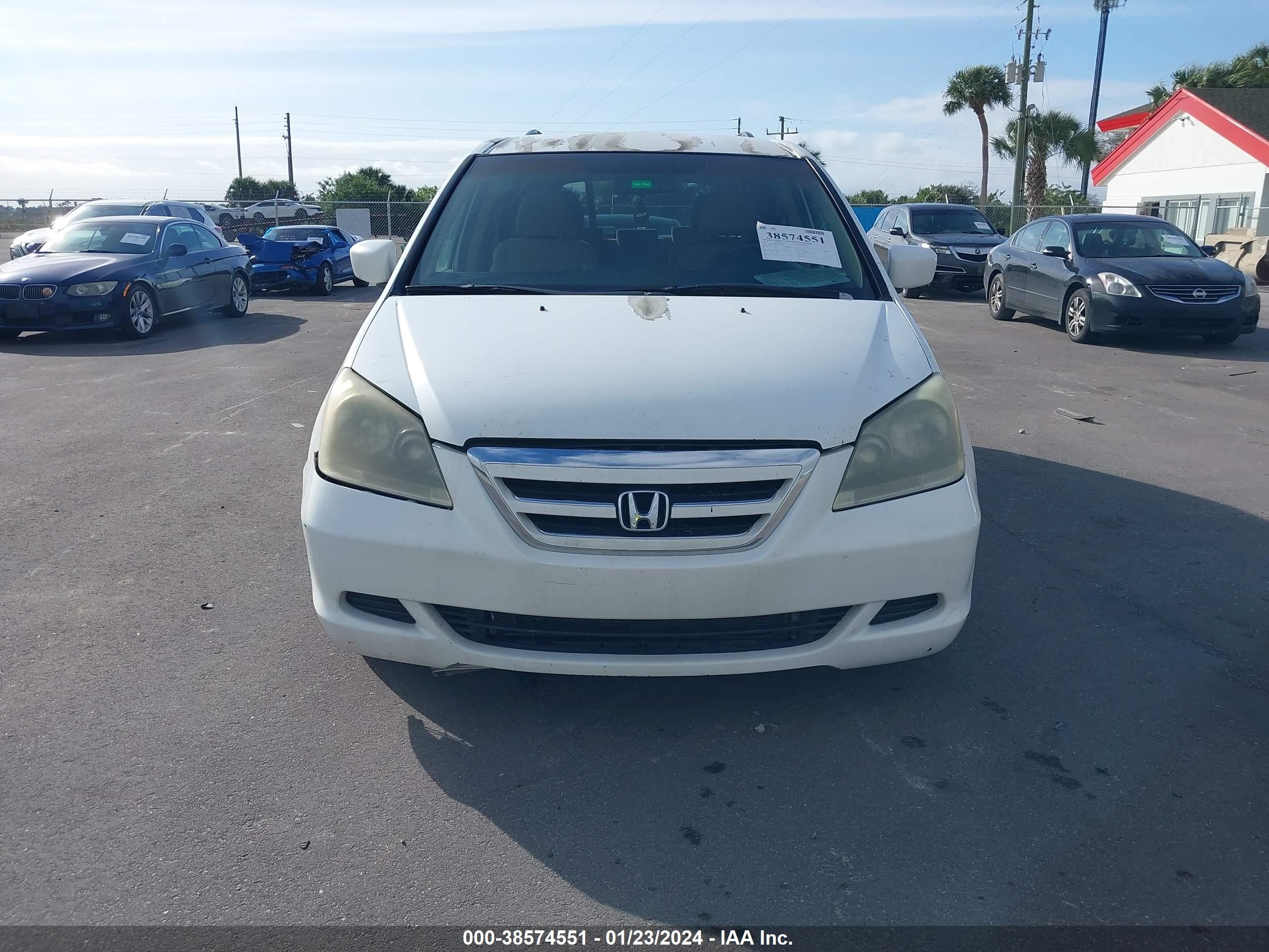 Photo 5 VIN: 5FNRL38447B128678 - HONDA ODYSSEY 