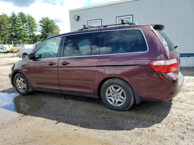 Photo 1 VIN: 5FNRL38447B130673 - HONDA ODYSSEY EX 