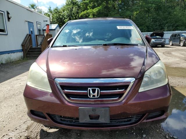 Photo 4 VIN: 5FNRL38447B130673 - HONDA ODYSSEY EX 