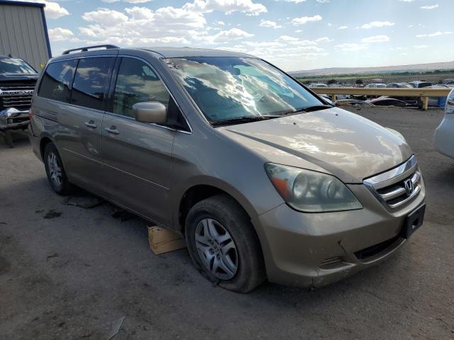 Photo 3 VIN: 5FNRL38455B024164 - HONDA ODYSSEY 