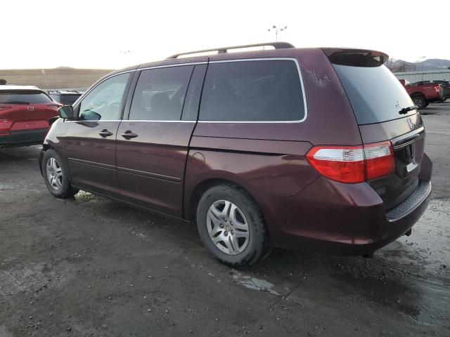 Photo 1 VIN: 5FNRL38457B093424 - HONDA ODYSSEY EX 