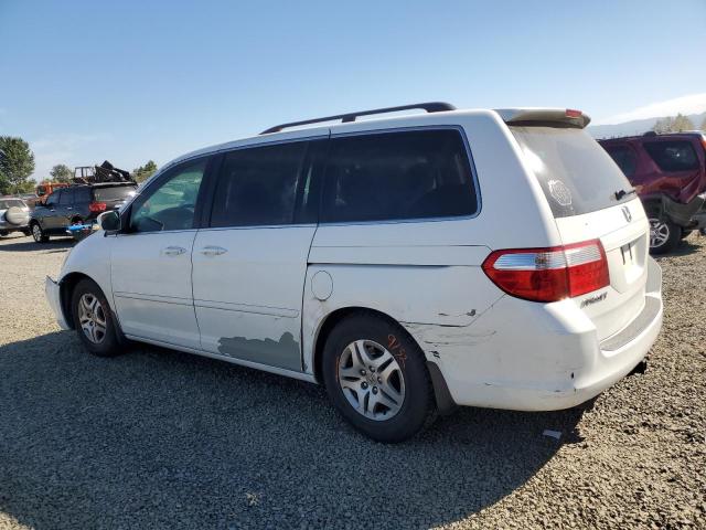 Photo 1 VIN: 5FNRL38457B140774 - HONDA ODYSSEY 