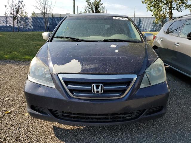 Photo 4 VIN: 5FNRL38457B501694 - HONDA ODYSSEY EX 