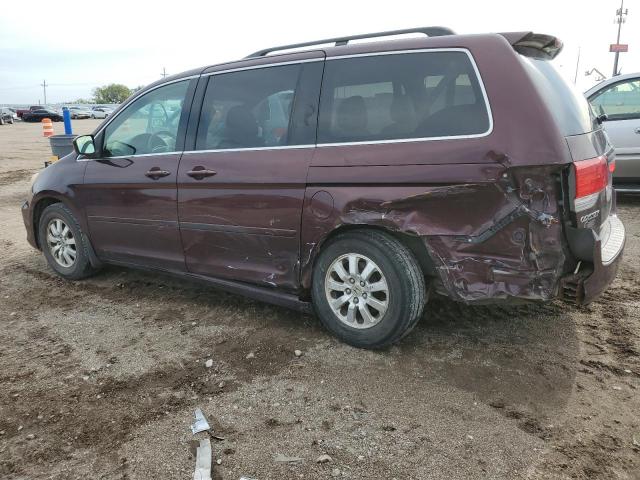 Photo 1 VIN: 5FNRL38459B021805 - HONDA ODYSSEY EX 