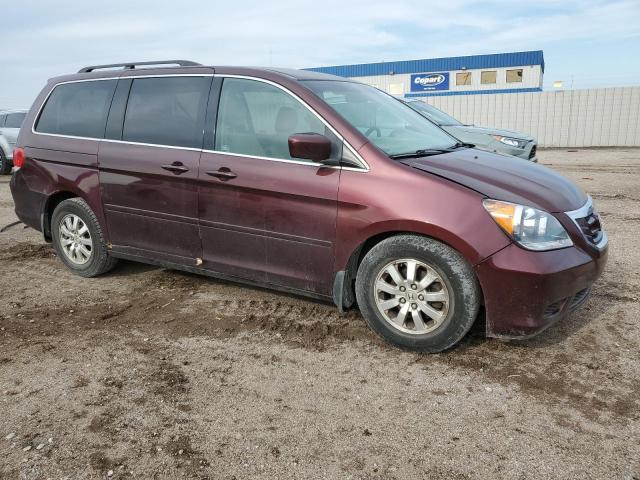 Photo 3 VIN: 5FNRL38459B021805 - HONDA ODYSSEY EX 