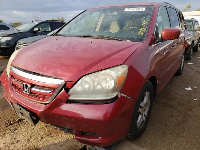 Photo 1 VIN: 5FNRL38465B404243 - HONDA ODYSSEY 