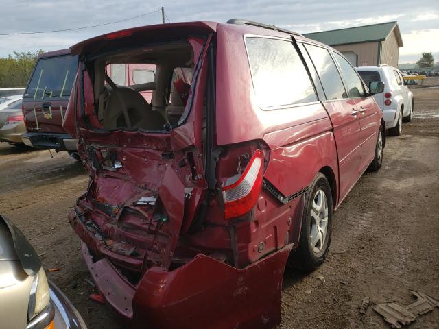 Photo 3 VIN: 5FNRL38465B404243 - HONDA ODYSSEY 