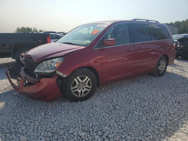 Photo 0 VIN: 5FNRL38466B442802 - HONDA ODYSSEY EX 