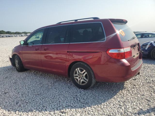 Photo 1 VIN: 5FNRL38466B442802 - HONDA ODYSSEY EX 