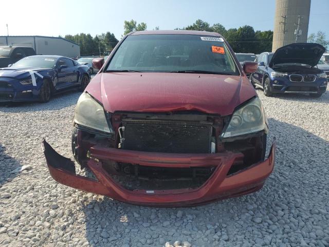 Photo 4 VIN: 5FNRL38466B442802 - HONDA ODYSSEY EX 