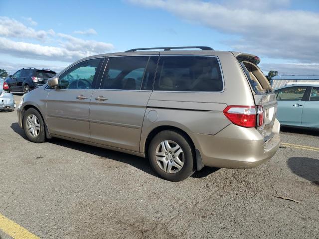 Photo 1 VIN: 5FNRL38467B023480 - HONDA ODYSSEY EX 