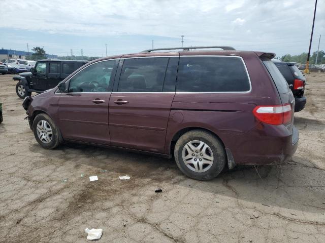 Photo 1 VIN: 5FNRL38467B046614 - HONDA ODYSSEY EX 