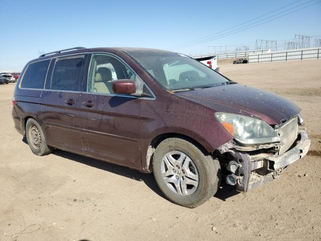 Photo 3 VIN: 5FNRL38467B130223 - HONDA ODYSSEY EX 