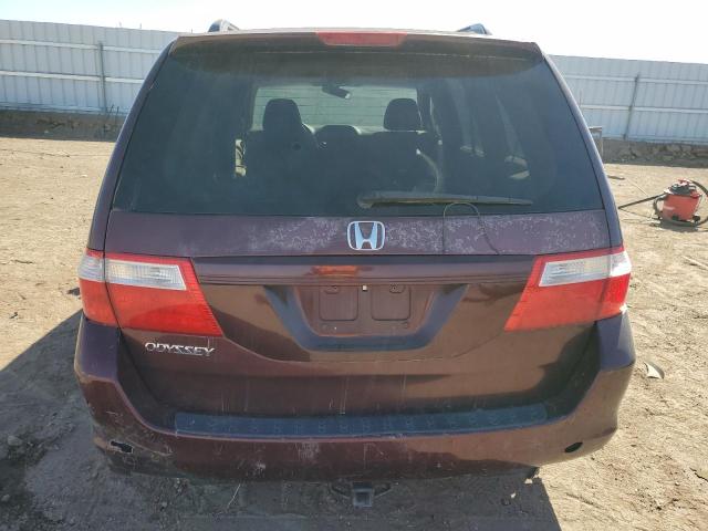 Photo 5 VIN: 5FNRL38467B130223 - HONDA ODYSSEY EX 