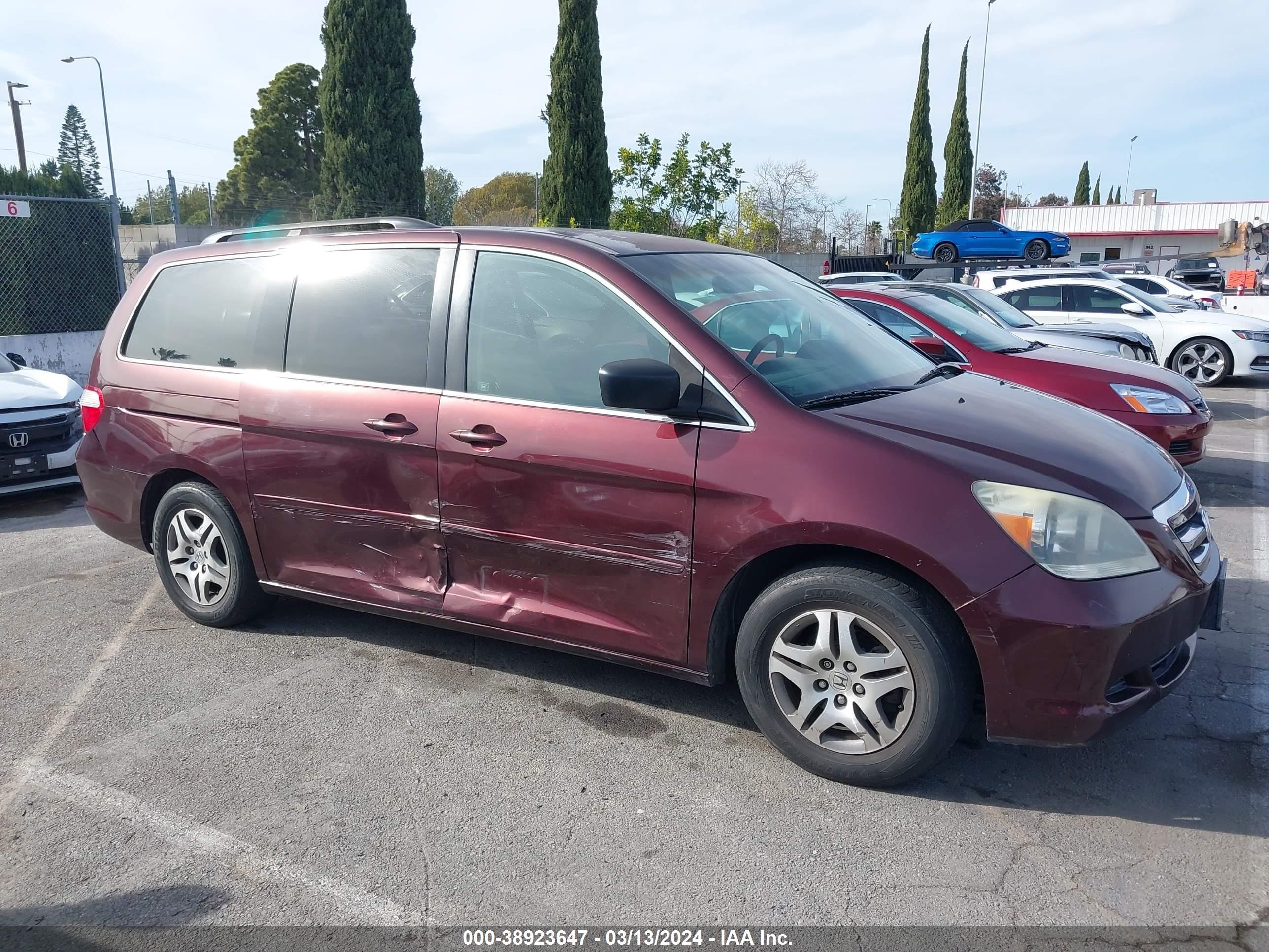 Photo 12 VIN: 5FNRL38467B410661 - HONDA ODYSSEY 