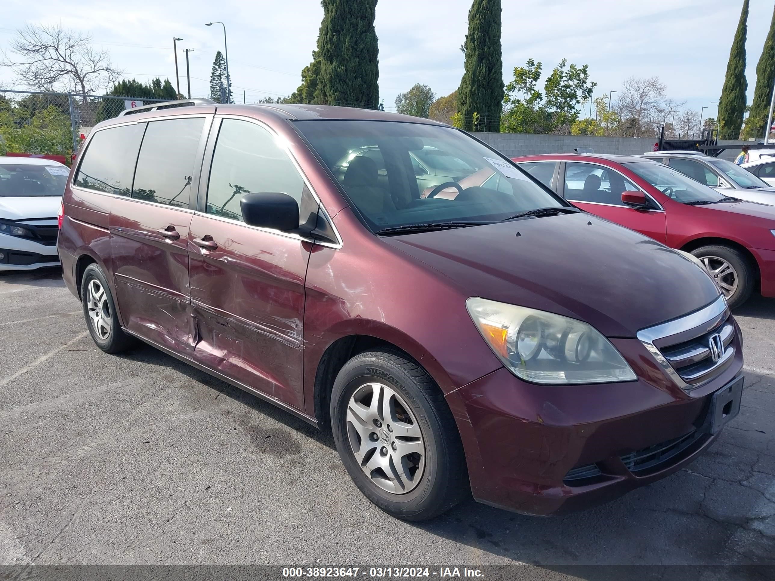 Photo 5 VIN: 5FNRL38467B410661 - HONDA ODYSSEY 