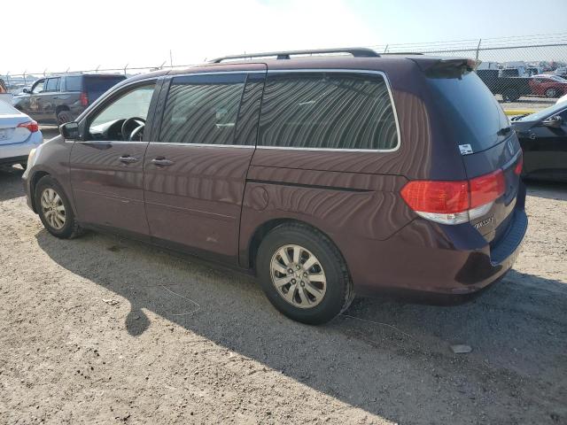 Photo 1 VIN: 5FNRL38469B407584 - HONDA ODYSSEY EX 