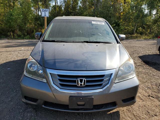 Photo 4 VIN: 5FNRL38469B504297 - HONDA ODYSSEY EX 