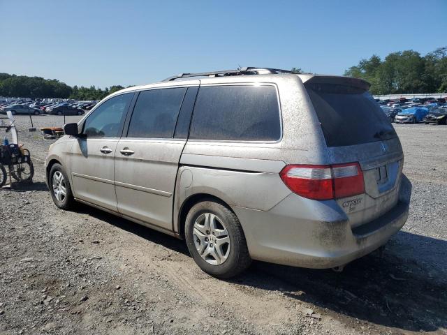 Photo 1 VIN: 5FNRL38477B418848 - HONDA ODYSSEY EX 