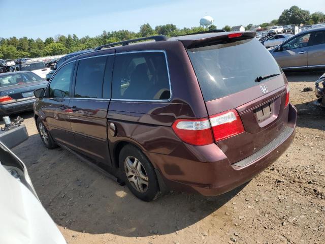 Photo 1 VIN: 5FNRL38487B134810 - HONDA ODYSSEY EX 