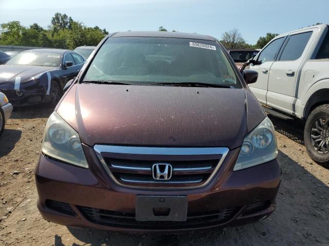 Photo 4 VIN: 5FNRL38487B134810 - HONDA ODYSSEY EX 