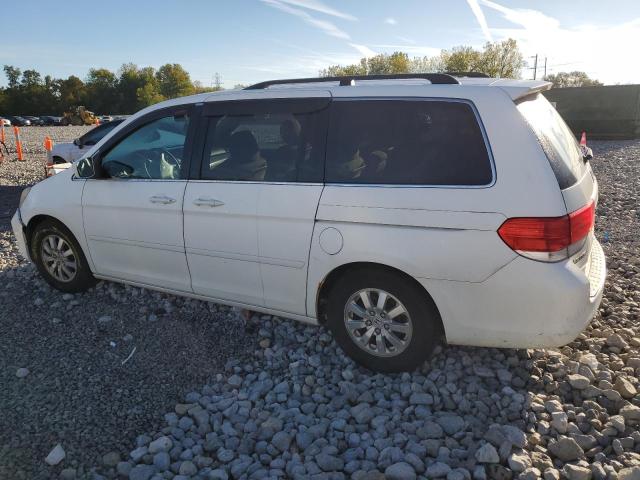 Photo 1 VIN: 5FNRL38488B044963 - HONDA ODYSSEY EX 