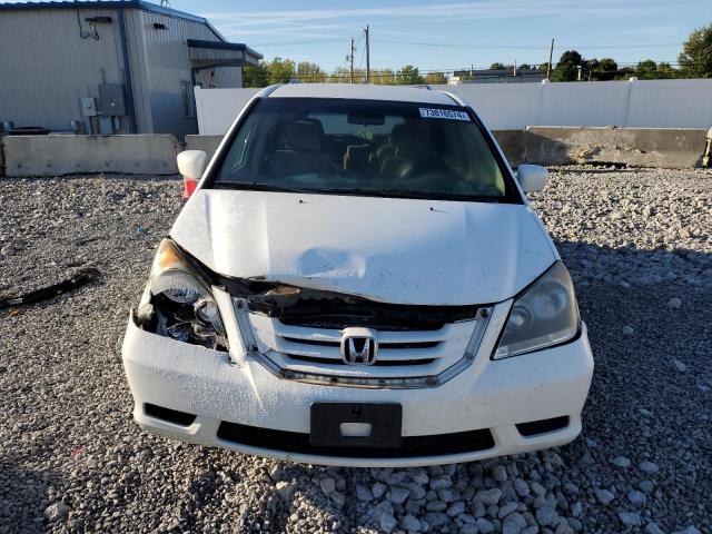 Photo 4 VIN: 5FNRL38488B044963 - HONDA ODYSSEY EX 