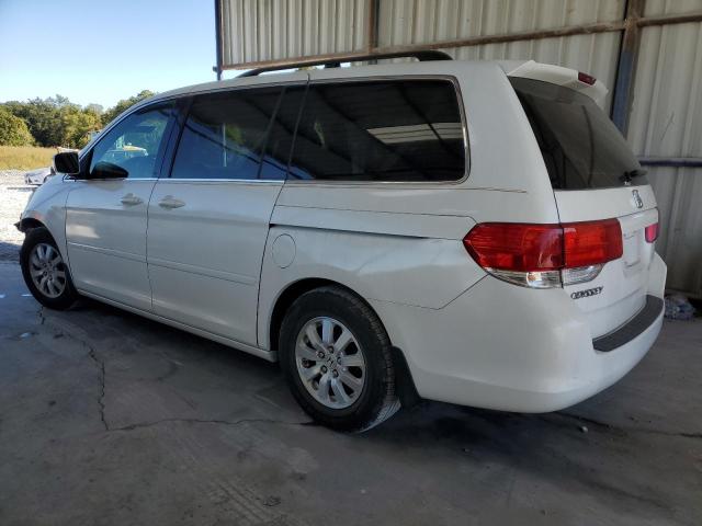 Photo 1 VIN: 5FNRL38488B062458 - HONDA ODYSSEY EX 