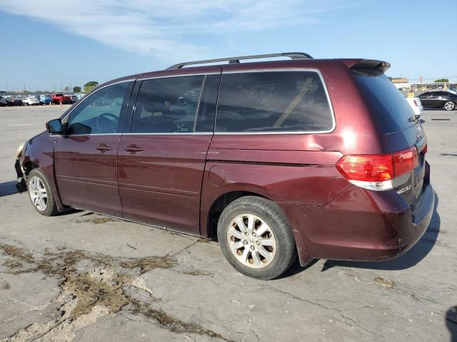 Photo 1 VIN: 5FNRL38489B024455 - HONDA ODYSSEY EX 