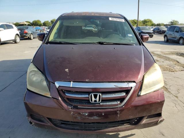 Photo 4 VIN: 5FNRL38489B024455 - HONDA ODYSSEY EX 