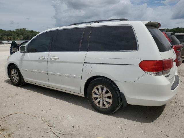 Photo 1 VIN: 5FNRL38489B412558 - HONDA ODYSSEY EX 