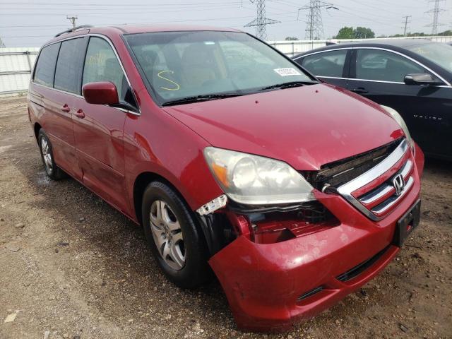 Photo 0 VIN: 5FNRL38495B071715 - HONDA ODYSSEY EX 