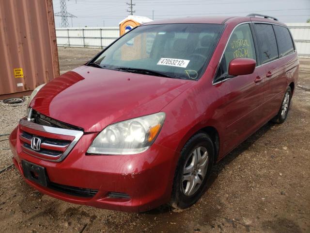 Photo 1 VIN: 5FNRL38495B071715 - HONDA ODYSSEY EX 