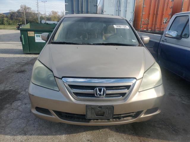 Photo 4 VIN: 5FNRL38496B416887 - HONDA ODYSSEY EX 