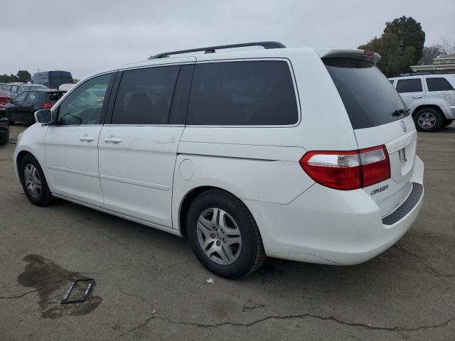 Photo 1 VIN: 5FNRL38497B406457 - HONDA ODYSSEY EX 